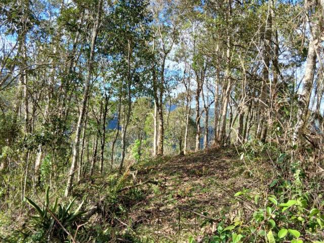 Área para Venda em Angelina - 2