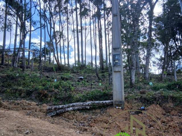 #20269 - Área para Venda em Angelina - SC