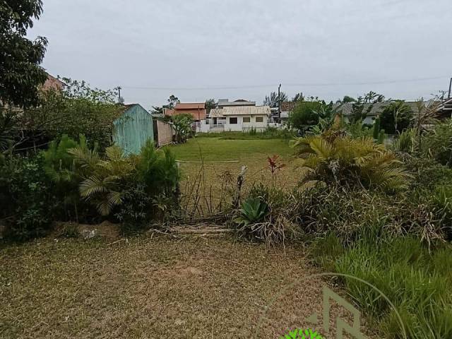 #202624 - Área para Venda em Palhoça - SC