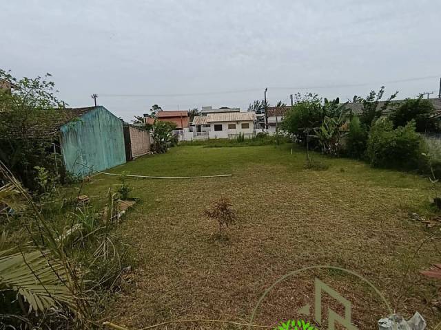 #202624 - Área para Venda em Palhoça - SC