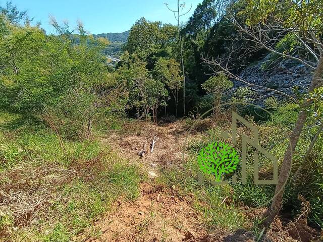 #202682 - Terreno para Venda em Palhoça - SC