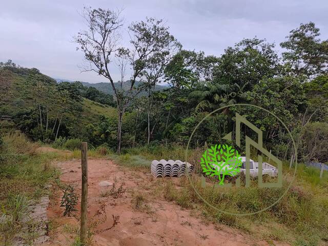 para em - 4